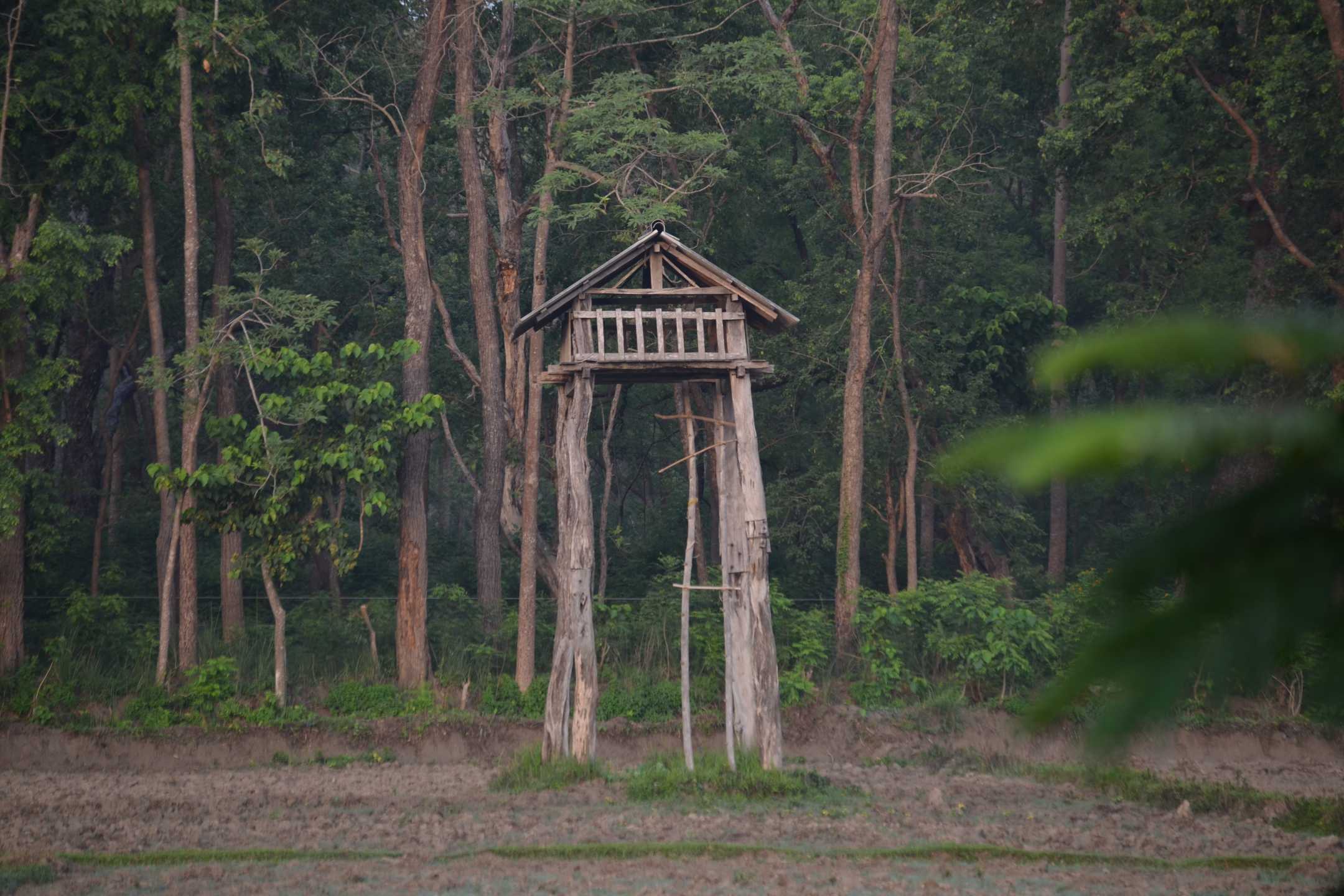 Bardiya Community Homestay